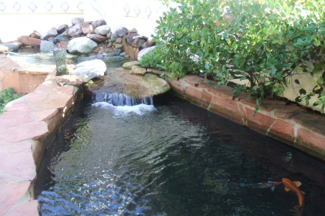 Water Treatments Water Treatments To Manage Your Pond's Water Quality & Clarity