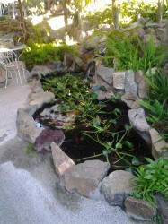 Spring Valley 1500 Gallons