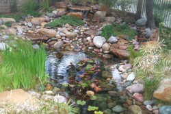 Sorronto Valley 1500 Gal.