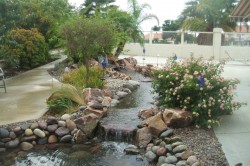 Chula Vista 500 Gals