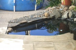 Rancho Pensquitos- 400 Gals