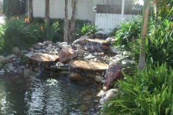 Central San Diego- 3000 Gals