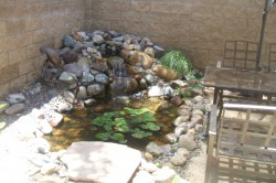 Carmel- 250 Gal patio pond  
