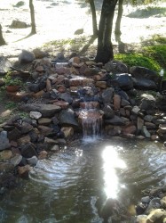 Jamal Garden Pond 